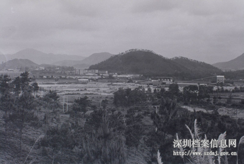 现东湖公园东方神曲居民住宅区原空地