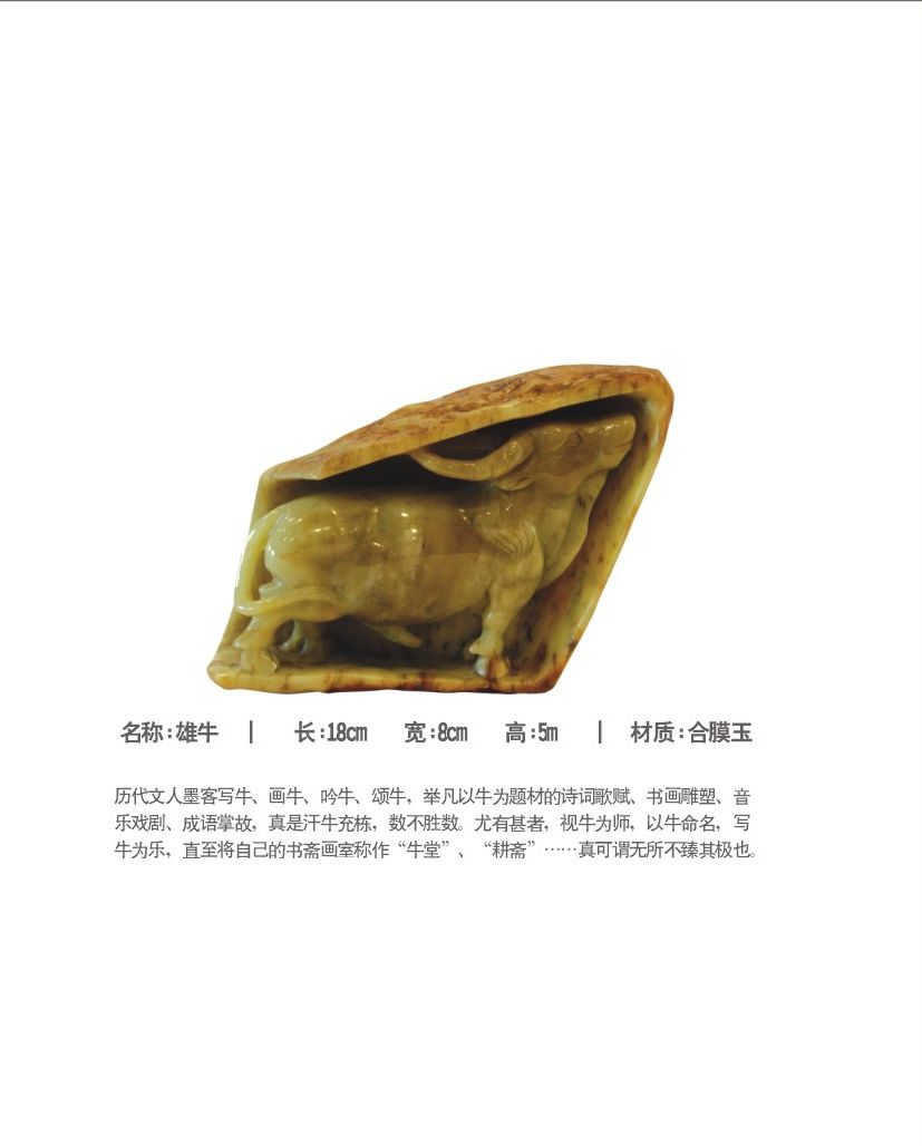 雄牛